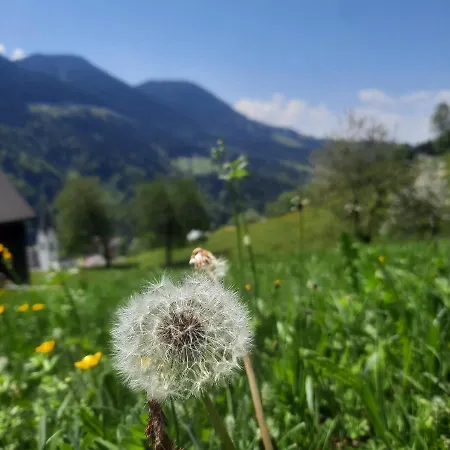 Apartamento Sunnaschi - Oder Gesamt Als 