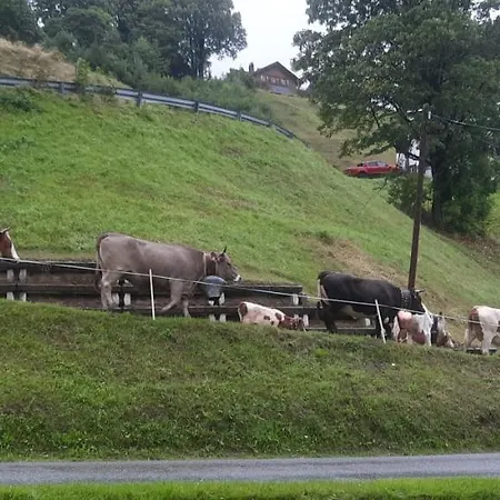 Sunnaschi - Oder Gesamt Als 