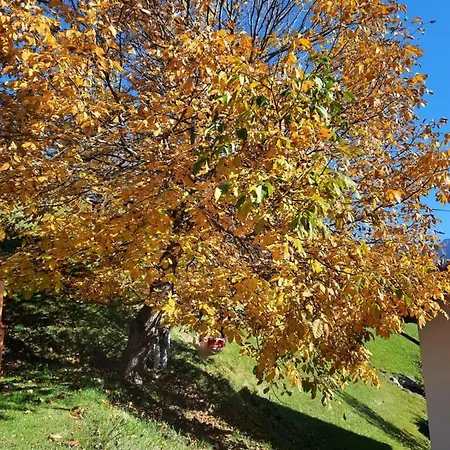 Sunnaschi - Oder Gesamt Als 