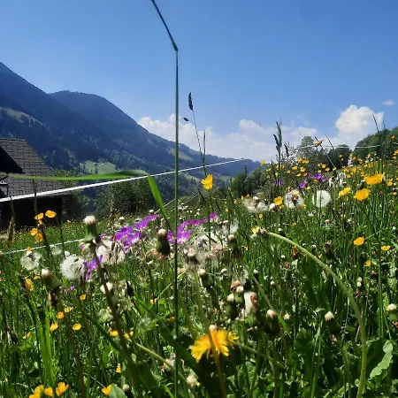 Apartamento Sunnaschi - Oder Gesamt Als 