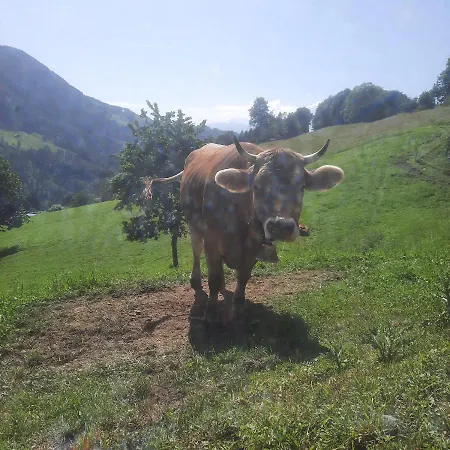 Apartamento Sunnaschi - Oder Gesamt Als 