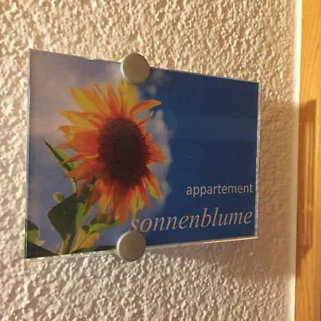 Sunnaschi - Oder Gesamt Als 