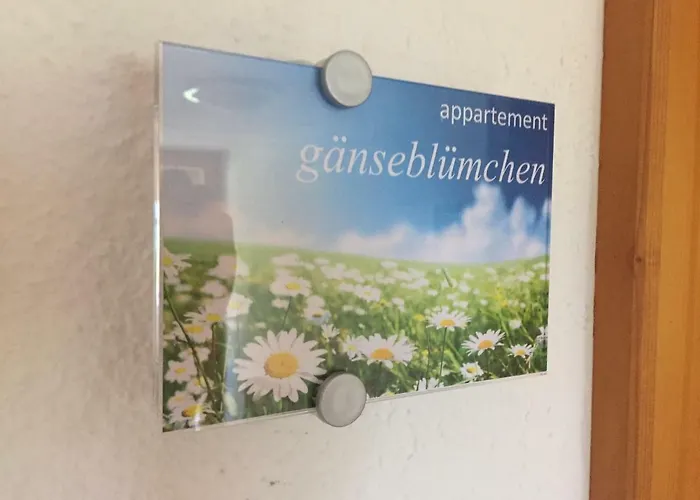 Sunnaschi - Oder Gesamt Als 