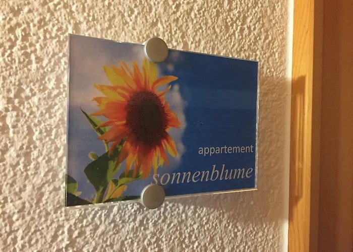 Sunnaschi - Oder Gesamt Als 